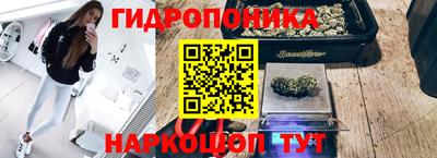 гидропоника Усть-Джегута